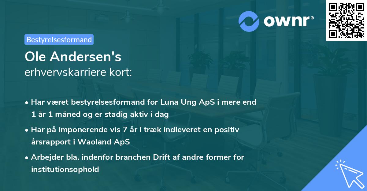 Ole Andersen's erhvervskarriere kort