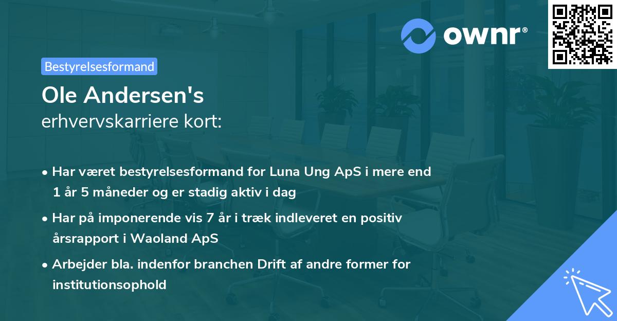 Ole Andersen's erhvervskarriere kort