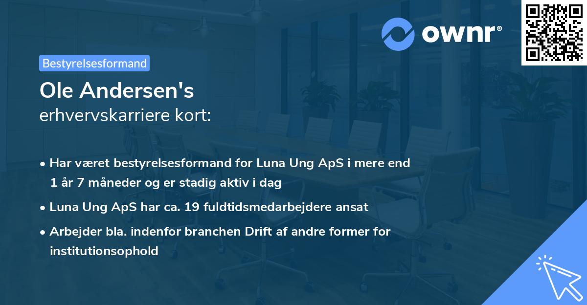 Ole Andersen's erhvervskarriere kort