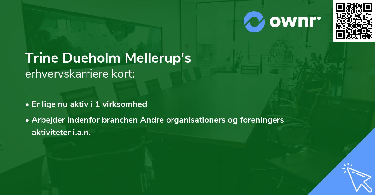 Trine Dueholm Mellerup's erhvervskarriere kort