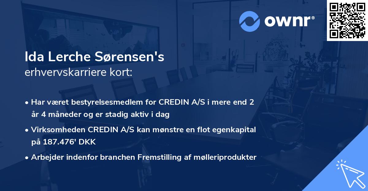 Ida Lerche Sørensen's erhvervskarriere kort