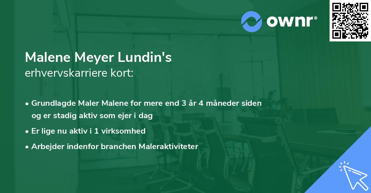 Malene Meyer Lundin's erhvervskarriere kort