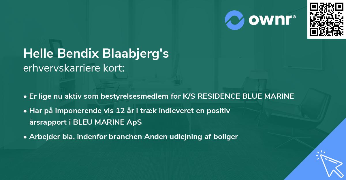 Helle Bendix Blaabjerg's erhvervskarriere kort