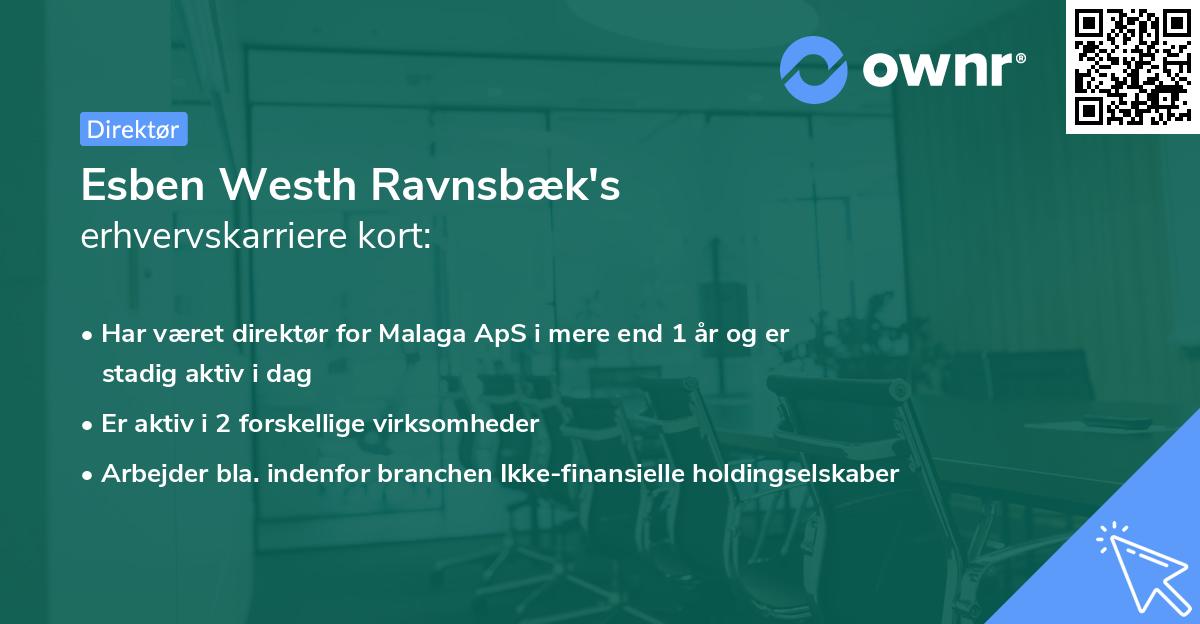 Esben Westh Ravnsbæk's erhvervskarriere kort