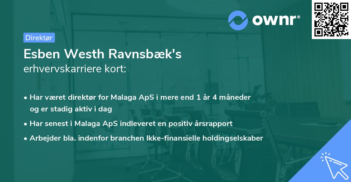 Esben Westh Ravnsbæk's erhvervskarriere kort