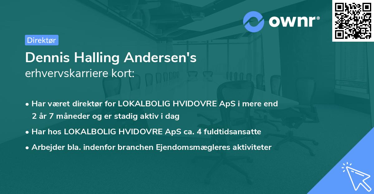 Dennis Halling Andersen's erhvervskarriere kort