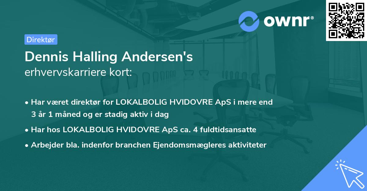 Dennis Halling Andersen's erhvervskarriere kort