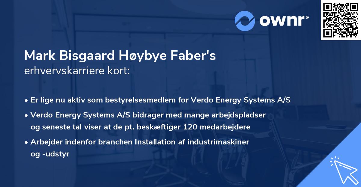 Mark Bisgaard Høybye Faber's erhvervskarriere kort
