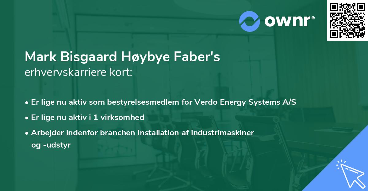 Mark Bisgaard Høybye Faber's erhvervskarriere kort