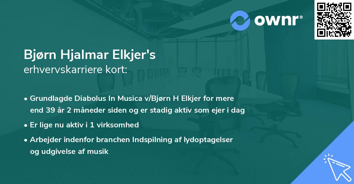 Bjørn Hjalmar Elkjer's erhvervskarriere kort