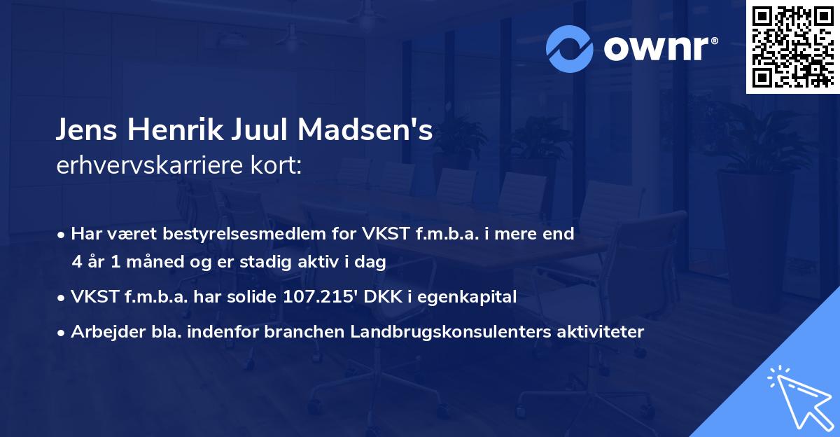 Jens Henrik Juul Madsen's erhvervskarriere kort