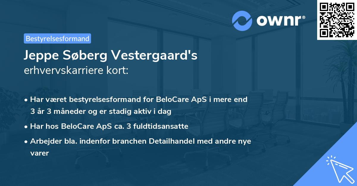 Jeppe Søberg Vestergaard's erhvervskarriere kort