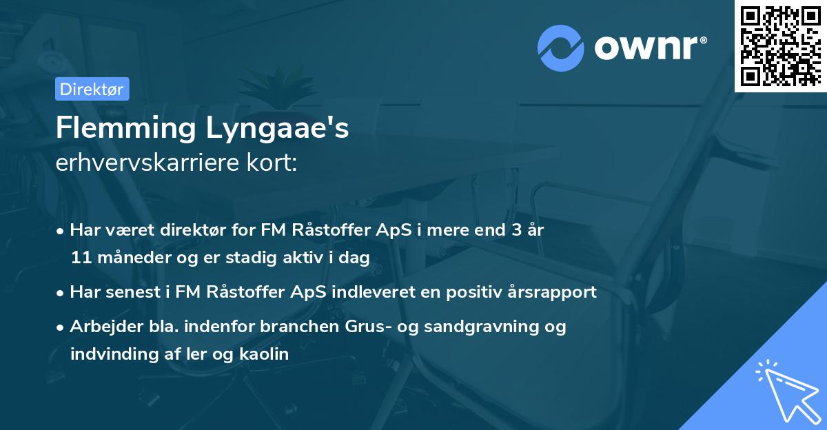 Flemming Lyngaae's erhvervskarriere kort