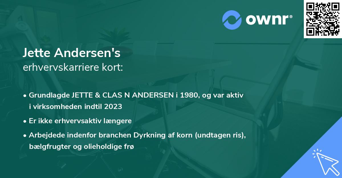 Jette Andersen's erhvervskarriere kort