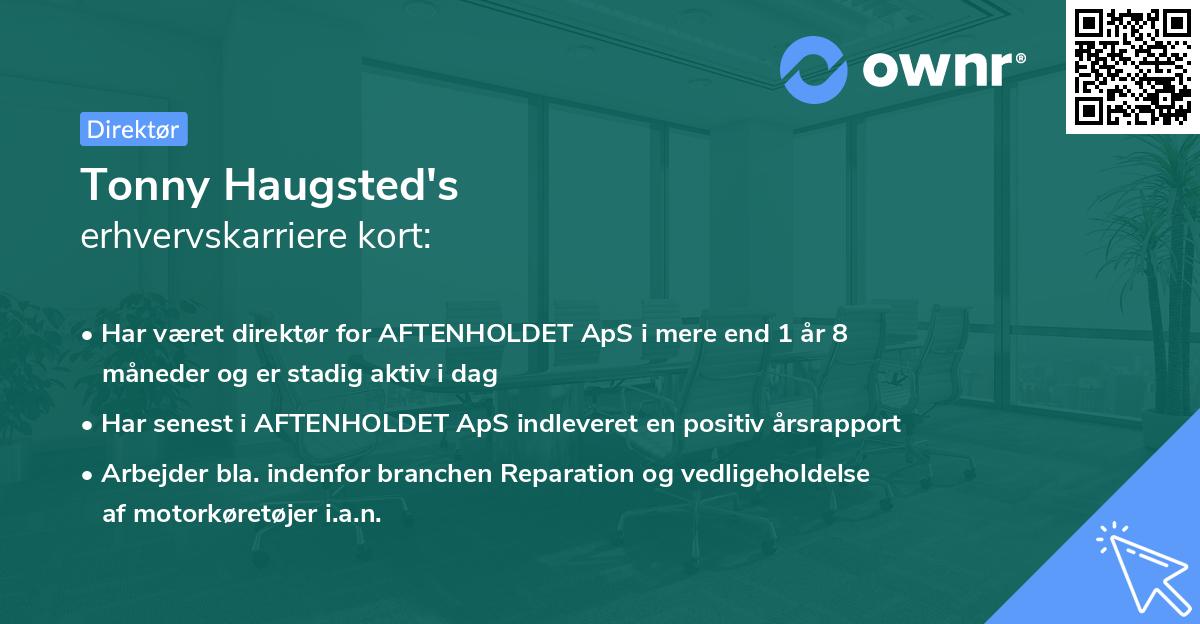 Tonny Haugsted's erhvervskarriere kort