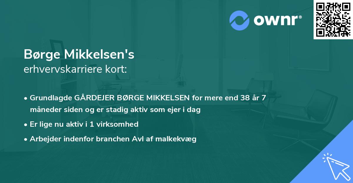 Børge Mikkelsen's erhvervskarriere kort
