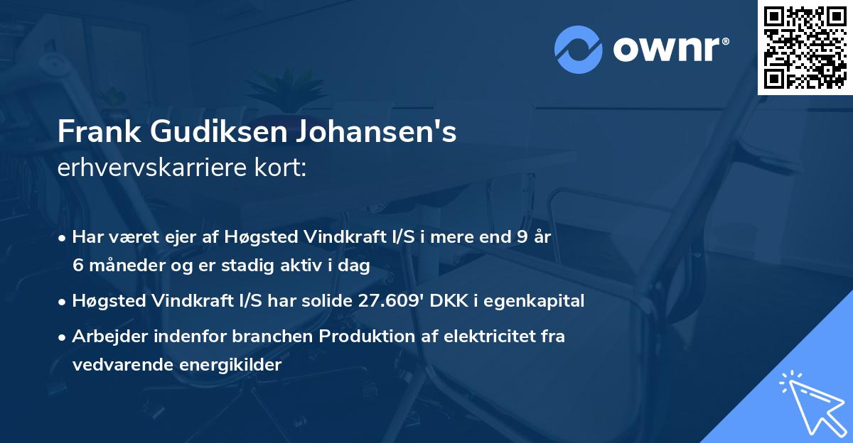 Frank Gudiksen Johansen's erhvervskarriere kort