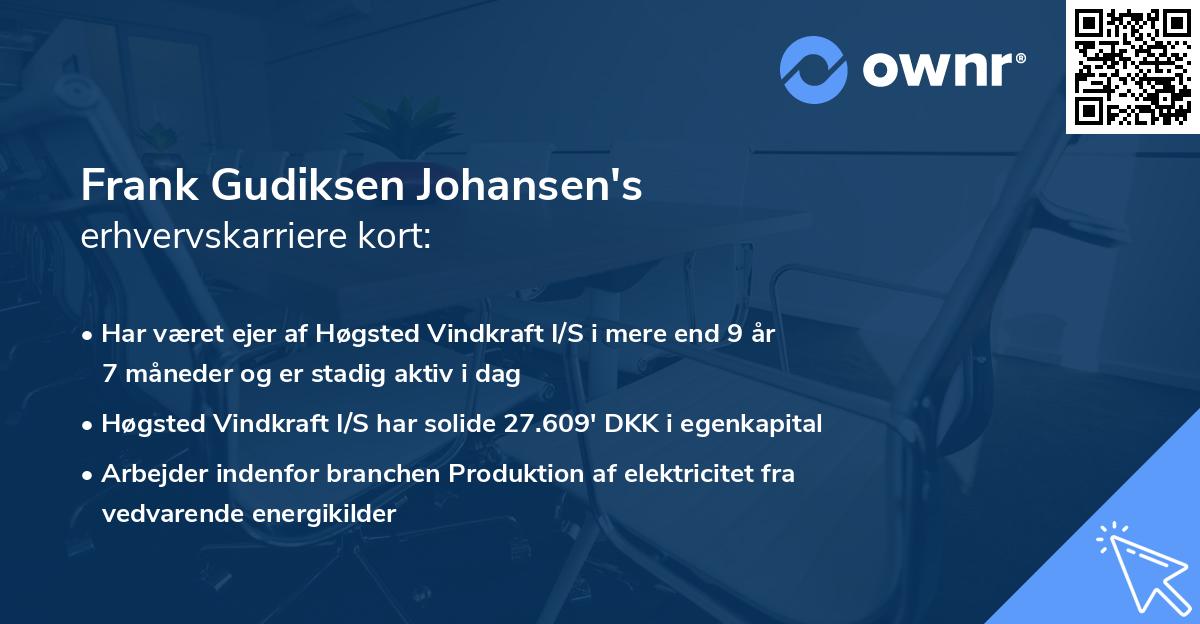 Frank Gudiksen Johansen's erhvervskarriere kort