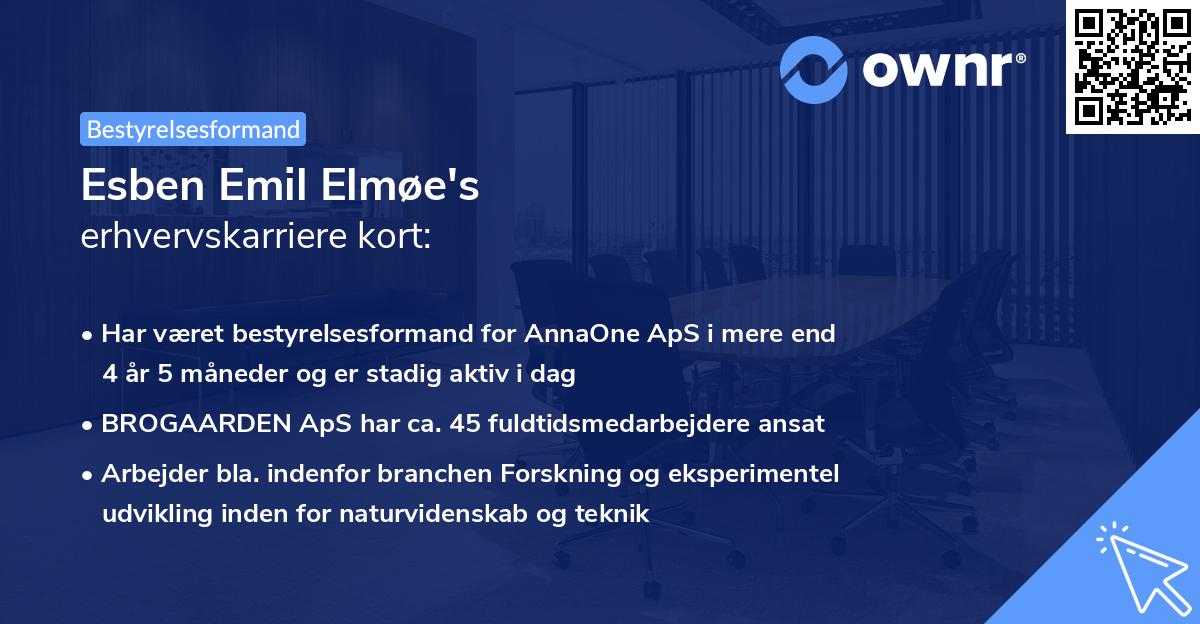 Esben Emil Elmøe's erhvervskarriere kort