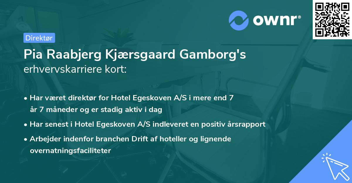 Pia Raabjerg Kjærsgaard Gamborg's erhvervskarriere kort