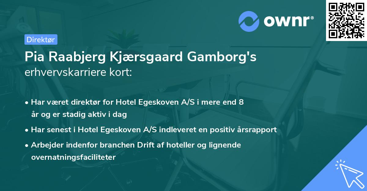 Pia Raabjerg Kjærsgaard Gamborg's erhvervskarriere kort