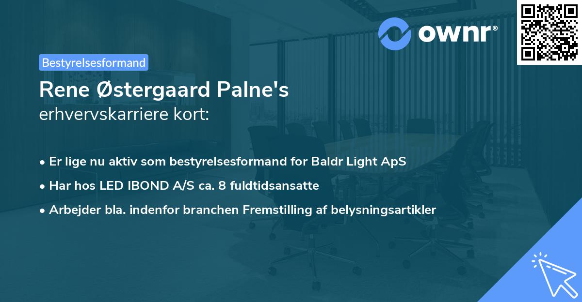 Rene Østergaard Palne's erhvervskarriere kort