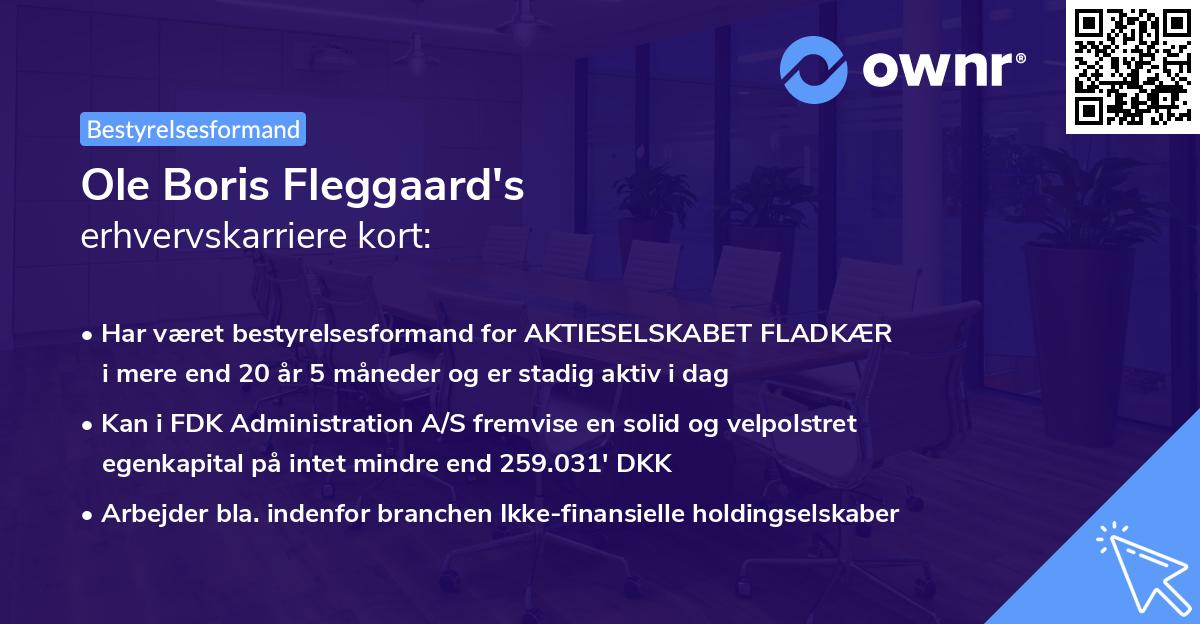 Ole Boris Fleggaard's erhvervskarriere kort