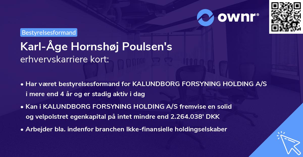 Karl-Åge Hornshøj Poulsen's erhvervskarriere kort