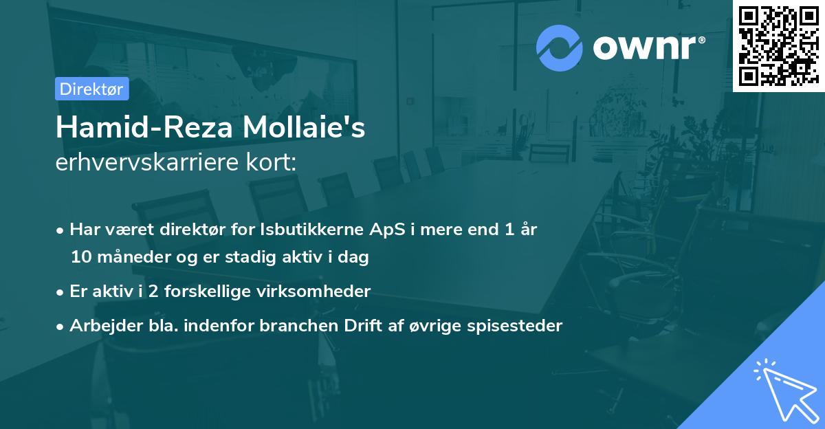 Hamid-Reza Mollaie's erhvervskarriere kort