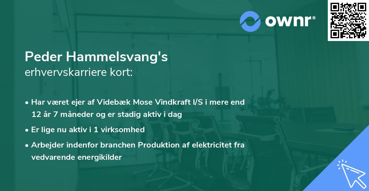 Peder Hammelsvang's erhvervskarriere kort