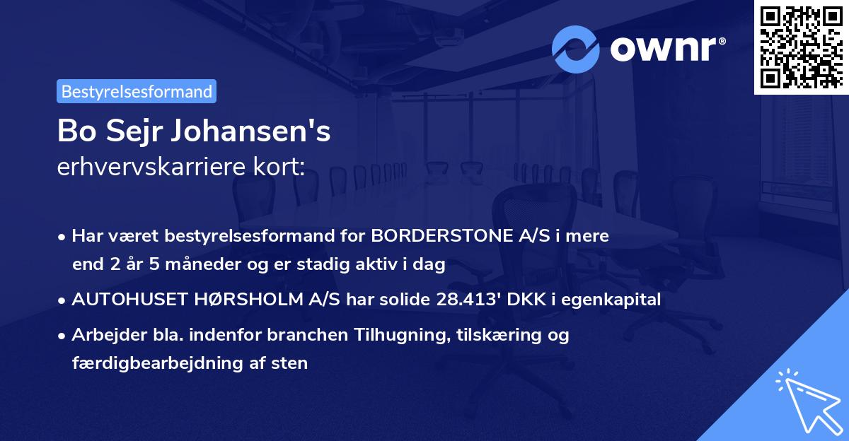 Bo Sejr Johansen's erhvervskarriere kort