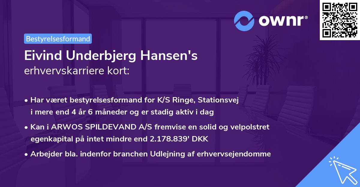 Eivind Underbjerg Hansen's erhvervskarriere kort
