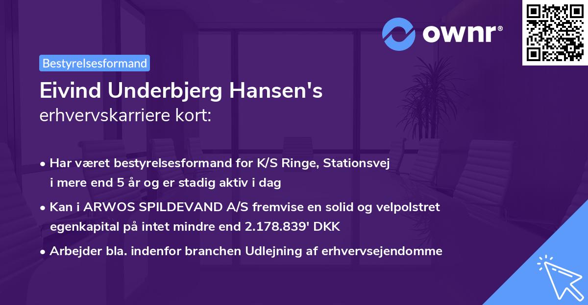 Eivind Underbjerg Hansen's erhvervskarriere kort