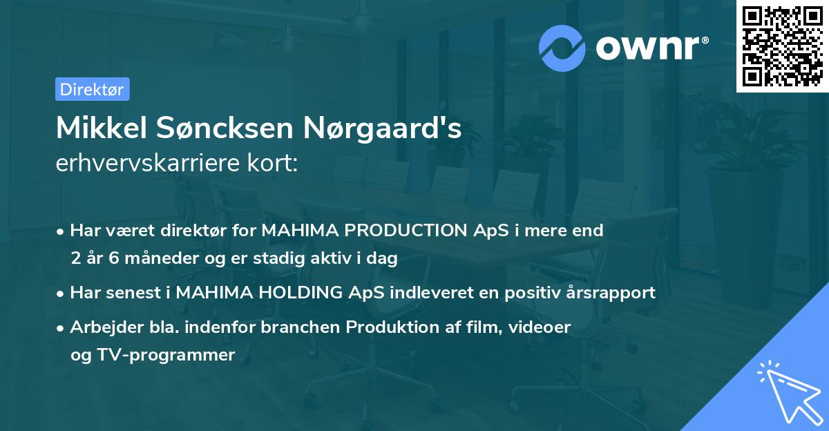 Mikkel Søncksen Nørgaard's erhvervskarriere kort