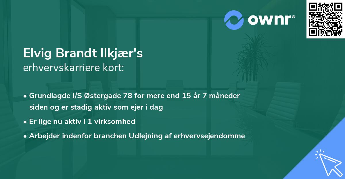 Elvig Brandt Ilkjær's erhvervskarriere kort