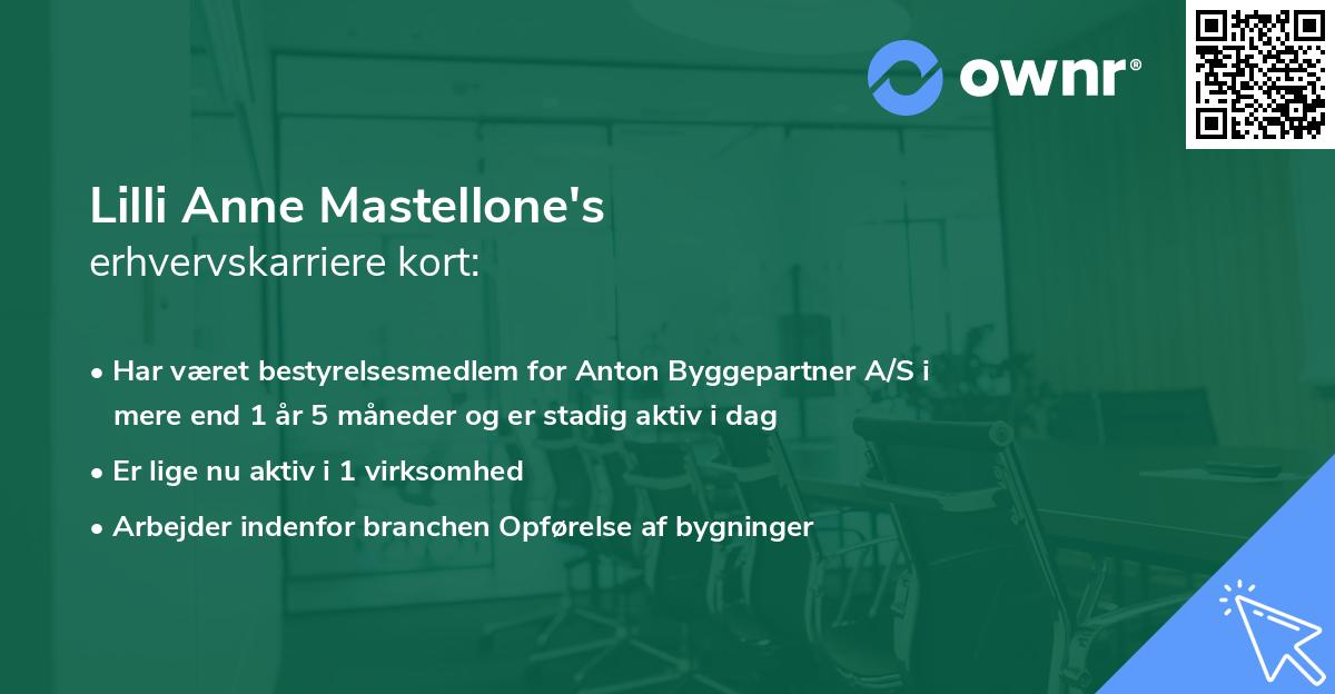 Lilli Anne Mastellone's erhvervskarriere kort