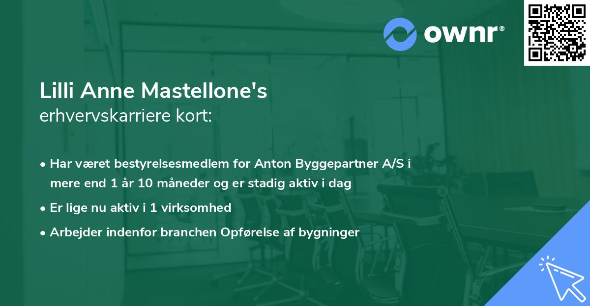 Lilli Anne Mastellone's erhvervskarriere kort