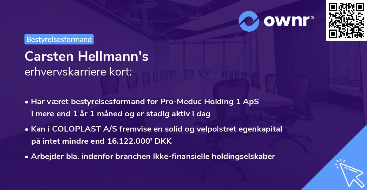 Carsten Hellmann's erhvervskarriere kort