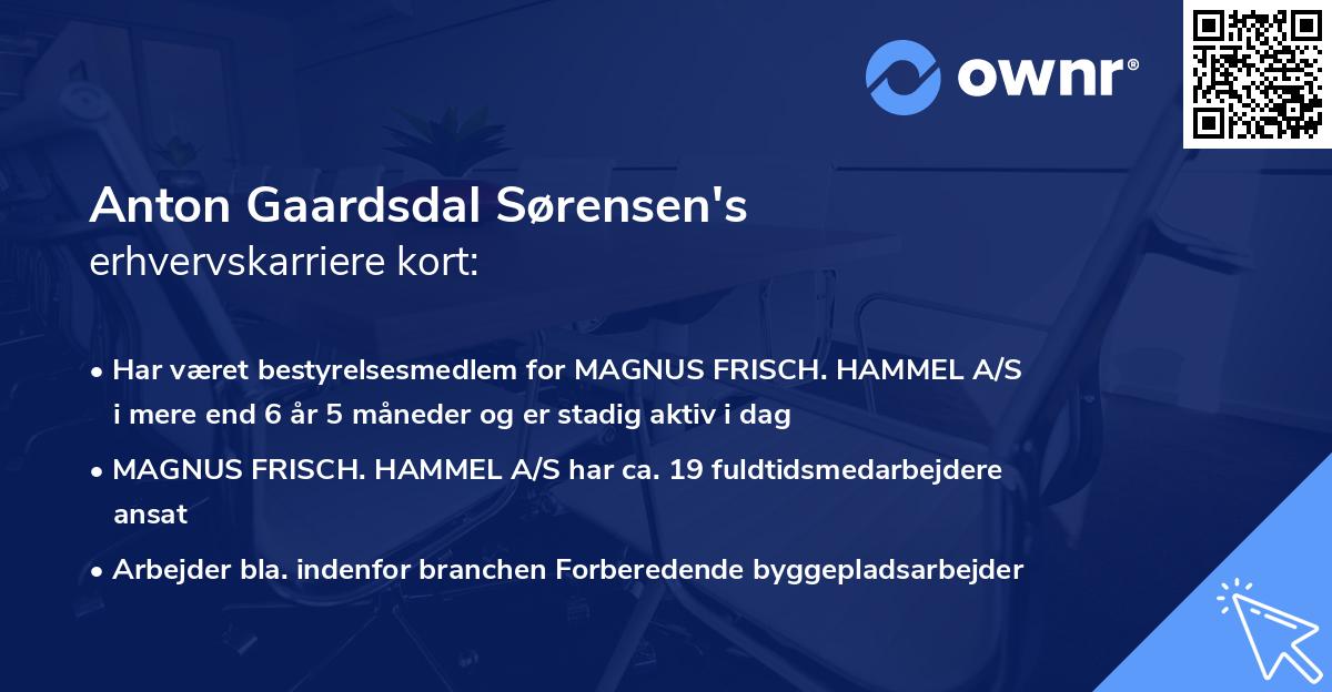 Anton Gaardsdal Sørensen's erhvervskarriere kort