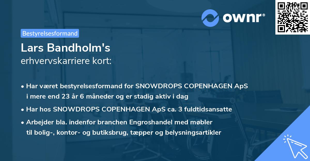Lars Bandholm's erhvervskarriere kort