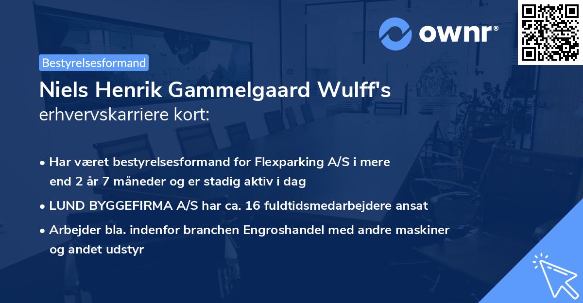 Niels Henrik Gammelgaard Wulff's erhvervskarriere kort