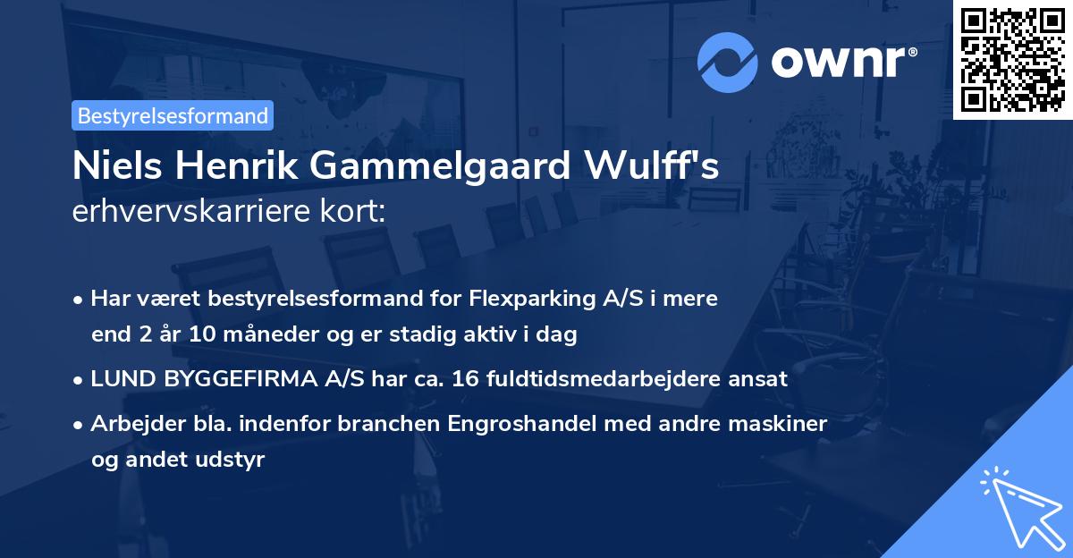 Niels Henrik Gammelgaard Wulff's erhvervskarriere kort