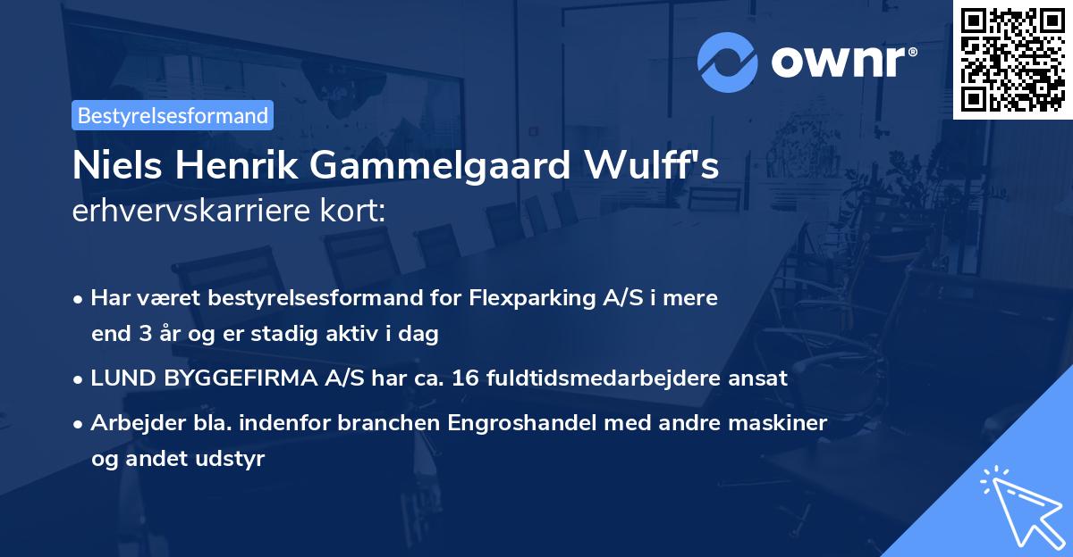 Niels Henrik Gammelgaard Wulff's erhvervskarriere kort