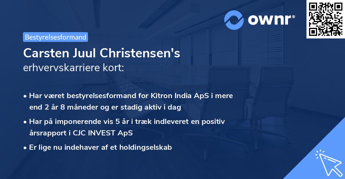 Carsten Juul Christensen's erhvervskarriere kort