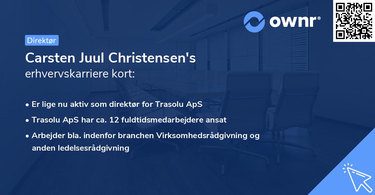 Carsten Juul Christensen's erhvervskarriere kort