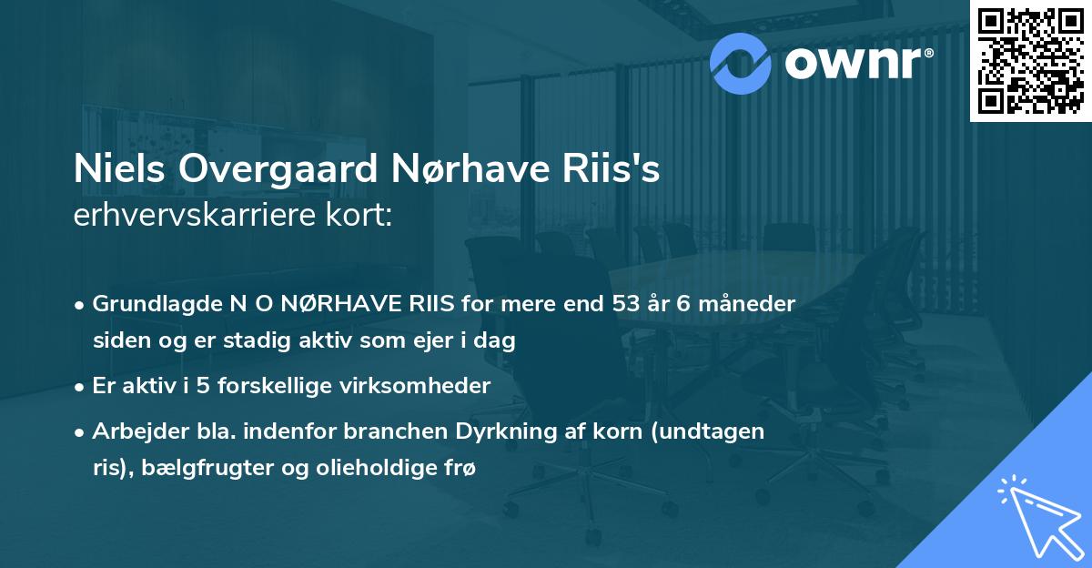 Niels Overgaard Nørhave Riis's erhvervskarriere kort