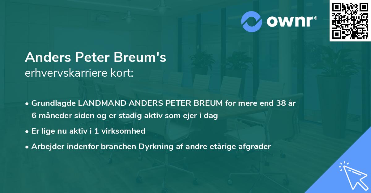 Anders Peter Breum's erhvervskarriere kort