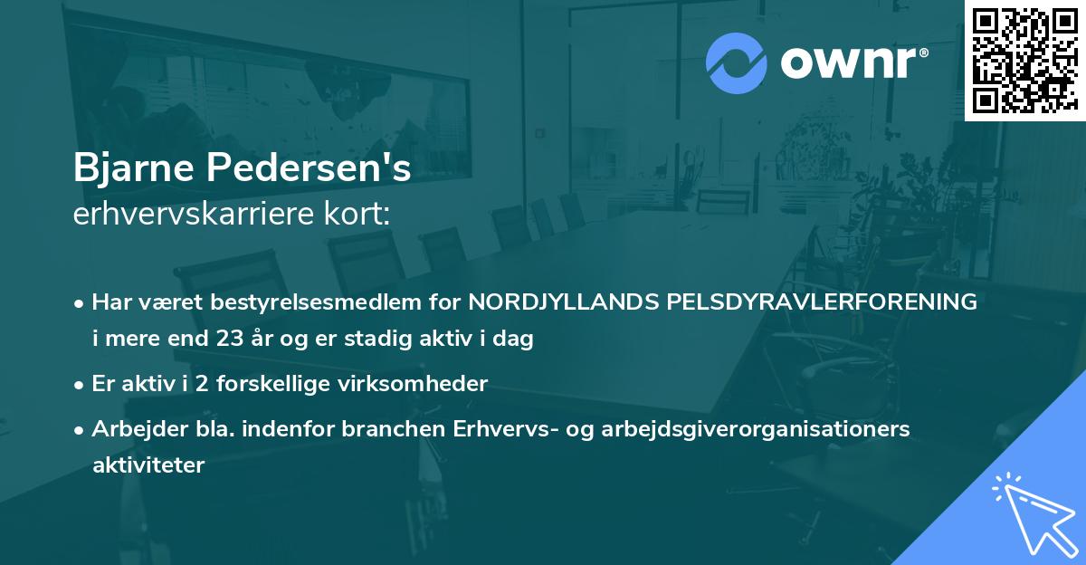 Bjarne Pedersen's erhvervskarriere kort