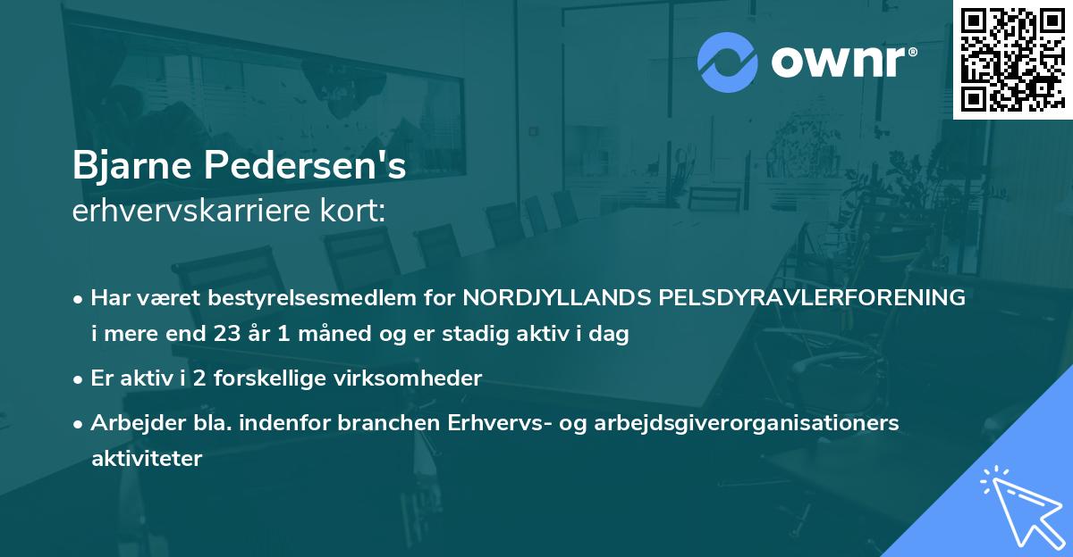 Bjarne Pedersen's erhvervskarriere kort