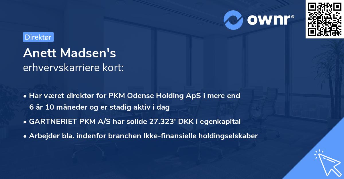 Anett Madsen's erhvervskarriere kort